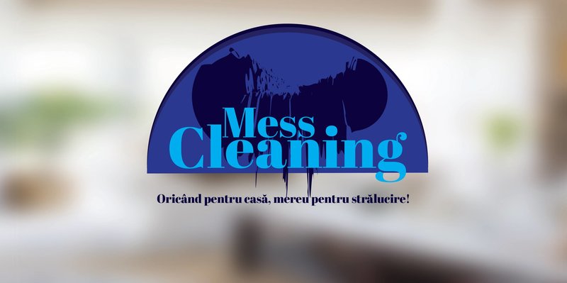Mess Cleaning - Firma curatenie