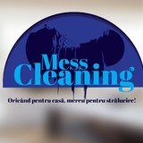 Mess Cleaning - Firma curatenie